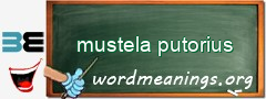 WordMeaning blackboard for mustela putorius
